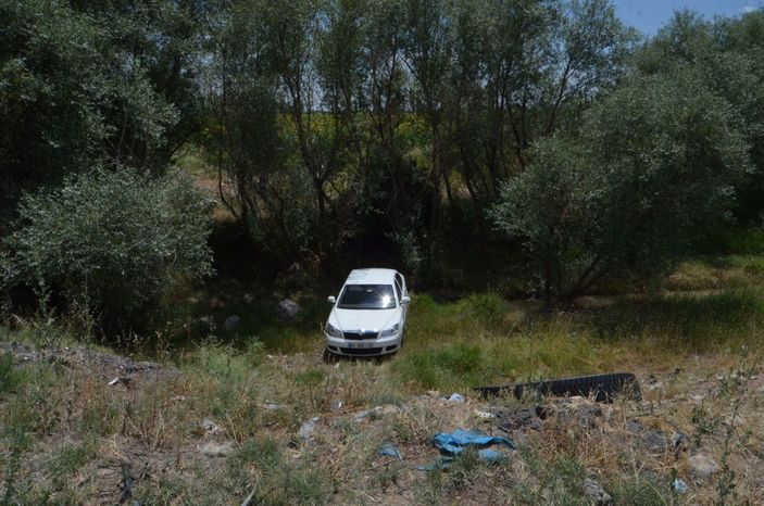 Sürücüsünü arı sokan otomobil şarampole düştü: 4 yaralı -3