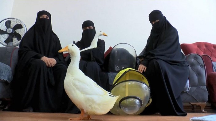 Başakşehir'de göletteki ördekleri çaldığı iddia edilen kadın konuştu -1