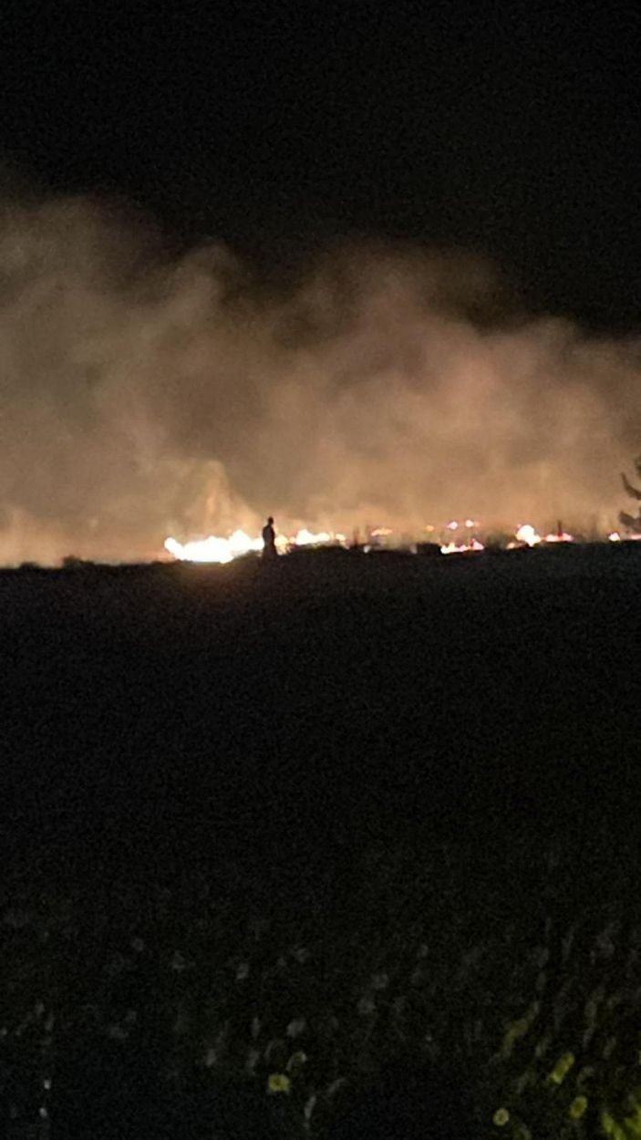 Leylek sürüsü anız yangınına neden oldu -2