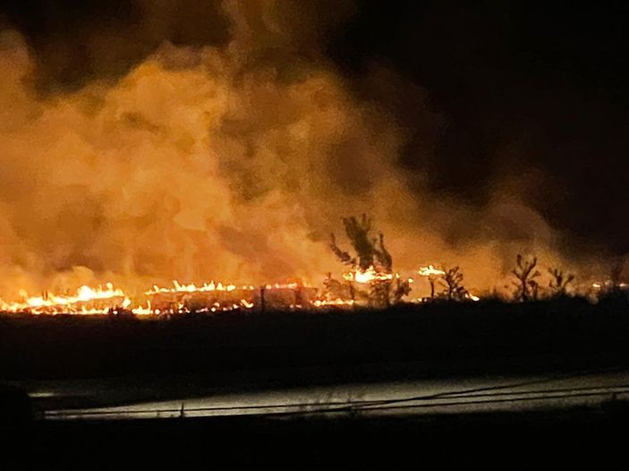 Leylek sürüsü anız yangınına neden oldu -3