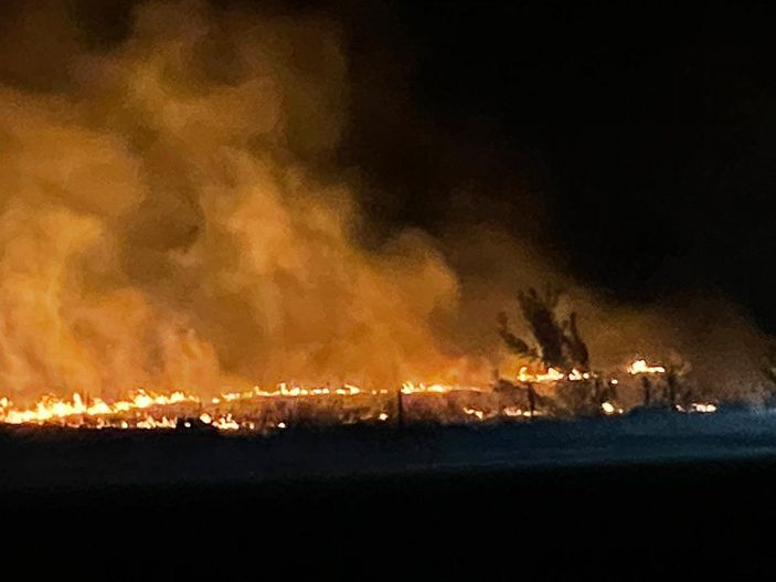 Leylek sürüsü anız yangınına neden oldu -1