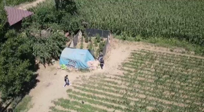İzmir’de uyuşturucu tarlaları dron ile tespit edildi -4