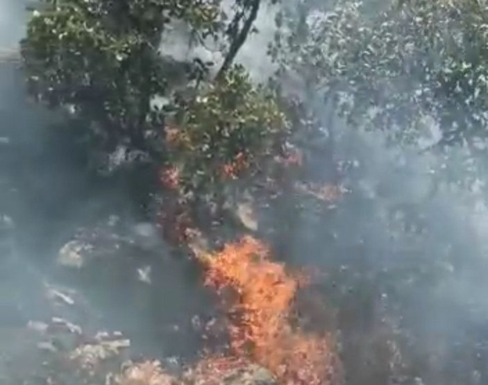 Nusaybin’de ormanlık alandaki yangın 6 saatte söndürüldü -4