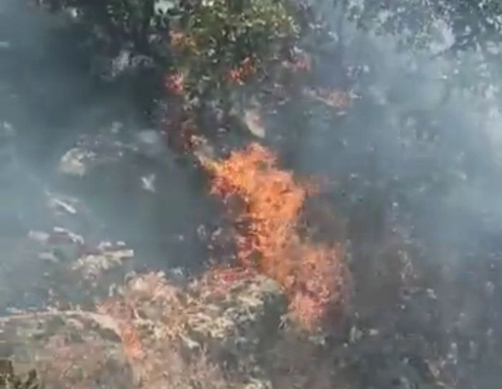 Nusaybin’de ormanlık alandaki yangın 6 saatte söndürüldü -6
