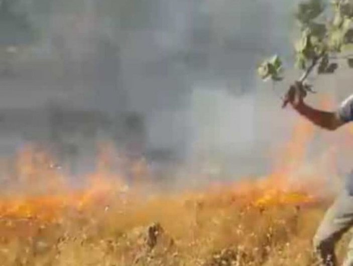 Nusaybin’de ormanlık alandaki yangın 6 saatte söndürüldü -2