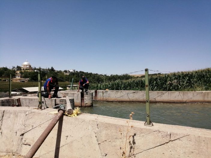 Kanala düşen kuzusu için suya atlayan çoban kayboldu -6