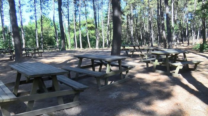 Çekmeköy'de mesire alanında denetim -6