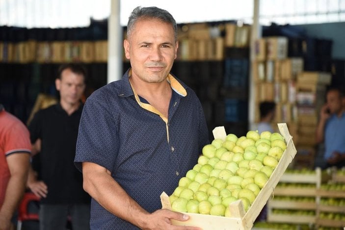 Aydın’da taze incirde hasat sezonu başladı -2