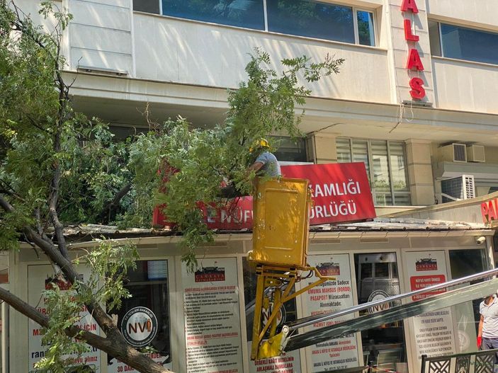 10 metrelik ağaç dalı, nüfus müdürlüğüne devrildi; o anlar kamerada -3