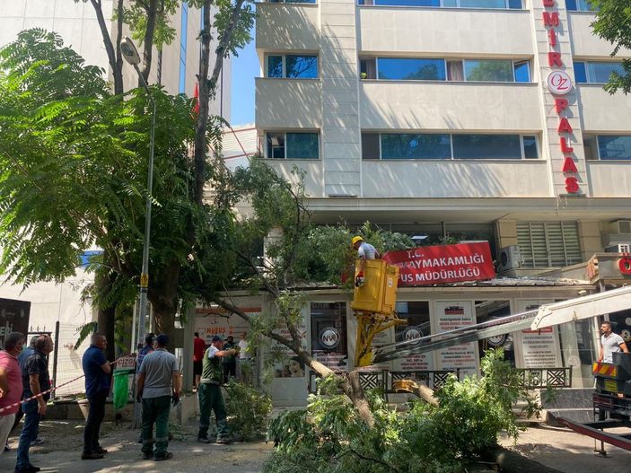 10 metrelik ağaç dalı, nüfus müdürlüğüne devrildi; o anlar kamerada -2