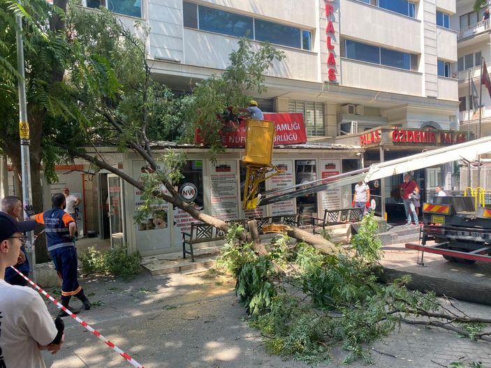 10 metrelik ağaç dalı, nüfus müdürlüğüne devrildi; o anlar kamerada -6