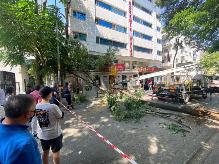10 metrelik ağaç dalı, nüfus müdürlüğüne devrildi; o anlar kamerada -4