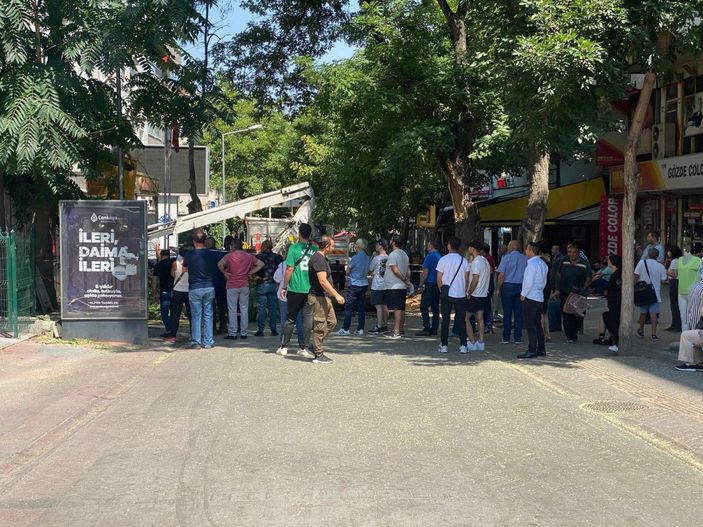 10 metrelik ağaç dalı, nüfus müdürlüğüne devrildi; o anlar kamerada -5