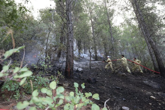 Burdur'daki orman yangını, 6 saatte kontrol altına alındı -1
