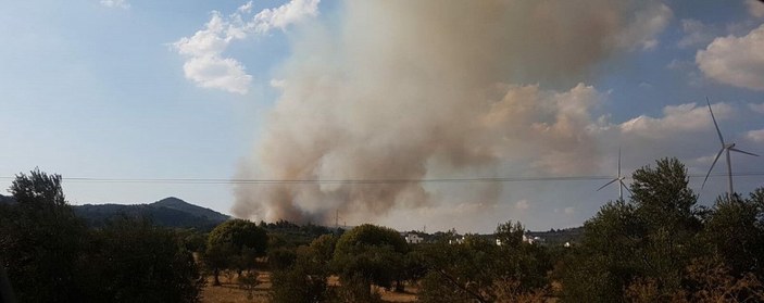 İzmir'de, tarım alanında yangın -3