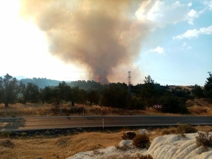İzmir'de, tarım alanında yangın -2