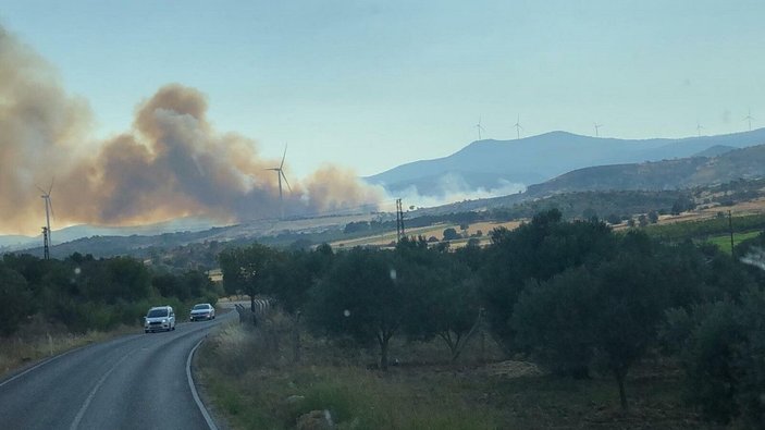 İzmir'de, tarım alanında yangın -1