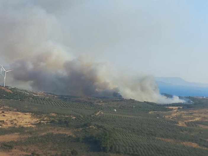 İzmir'de, tarım alanında yangın -4