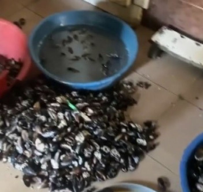 İzmir’de sağlıksız koşullarda üretilen 250 kilogram midyeye el konuldu -1