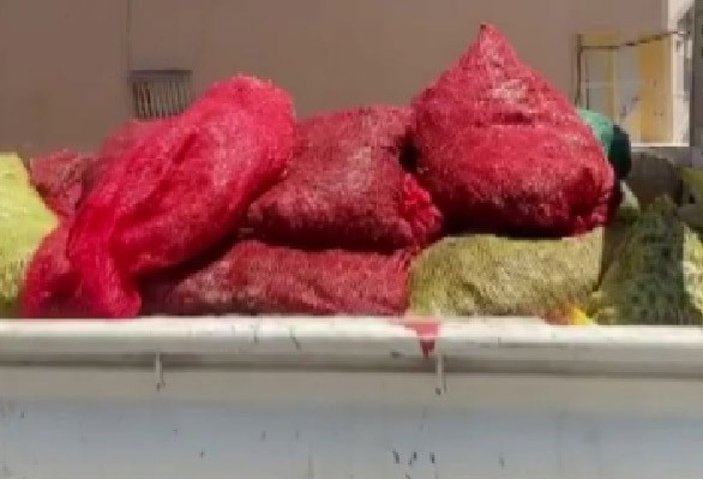 İzmir’de sağlıksız koşullarda üretilen 250 kilogram midyeye el konuldu -3
