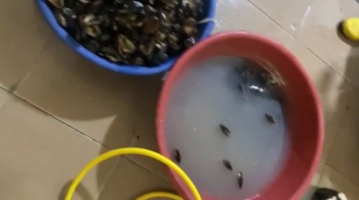 İzmir’de sağlıksız koşullarda üretilen 250 kilogram midyeye el konuldu -2
