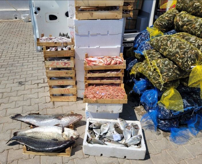 Kaçak balık ve midye taşıyan şüpheliye 10 bin 811 lira ceza -2