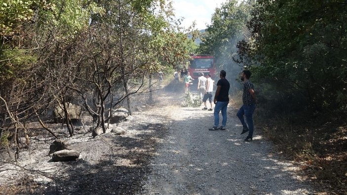 Bursa'da iki noktada orman yangını; kaplumbağayı alevlerden kurtardı -3