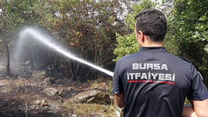 Bursa'da iki noktada orman yangını; kaplumbağayı alevlerden kurtardı -9