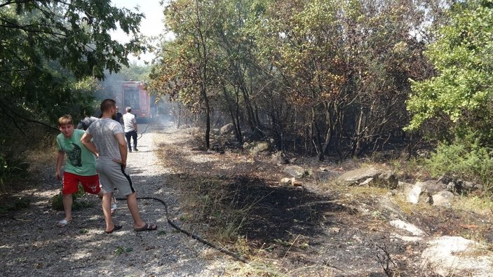 Bursa'da iki noktada orman yangını; kaplumbağayı alevlerden kurtardı -7