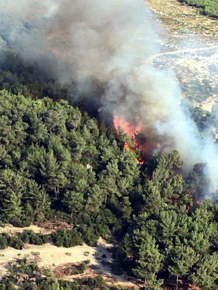 İzmir'de orman yangını -3