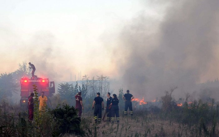 Edirne'de, Meriç Nehri kıyısında çıkan otluk yangını söndürüldü -1