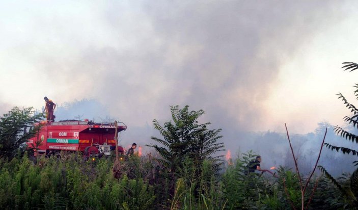 Edirne'de, Meriç Nehri kıyısında çıkan otluk yangını söndürüldü -6