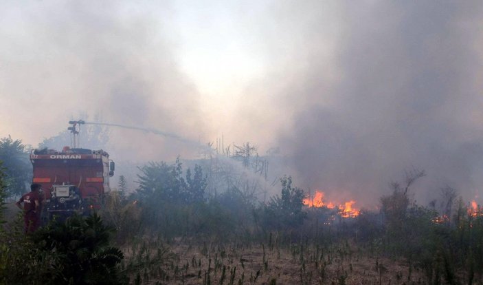 Edirne'de, Meriç Nehri kıyısında çıkan otluk yangını söndürüldü -2