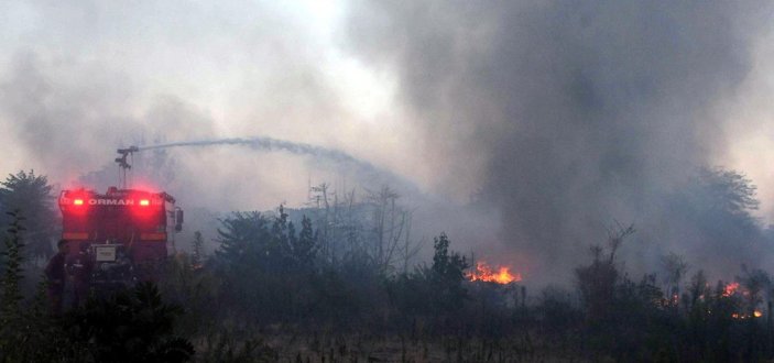 Edirne'de, Meriç Nehri kıyısında çıkan otluk yangını söndürüldü -10