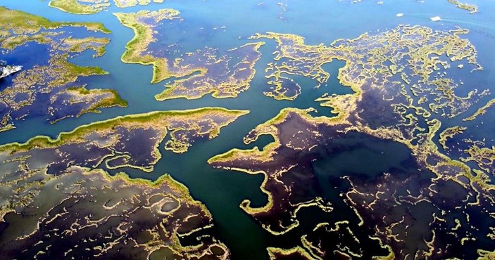 Dalyan Kanalı'nın labirent gibi sazlıkları havadan görüntülendi -6