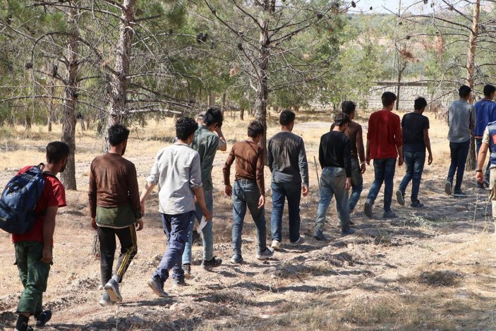 Fıstık bahçesinde saklanan 28 kaçak göçmen yakalandı -8
