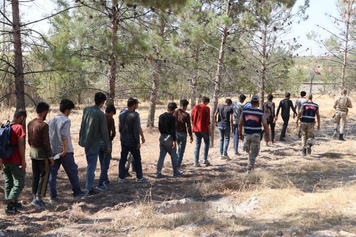 Fıstık bahçesinde saklanan 28 kaçak göçmen yakalandı -1