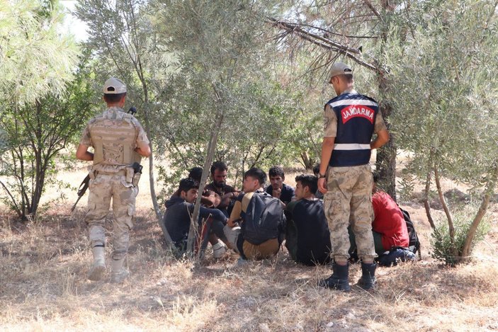 Fıstık bahçesinde saklanan 28 kaçak göçmen yakalandı -10