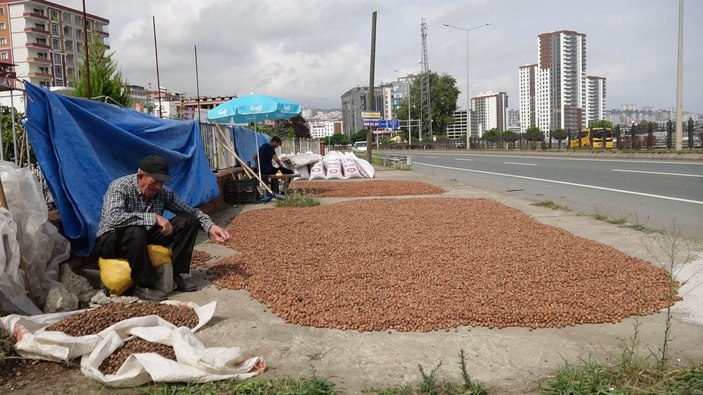 Trabzon'da fındık alımında 'kurutma' rötarı; sahil yolu harman oldu -4