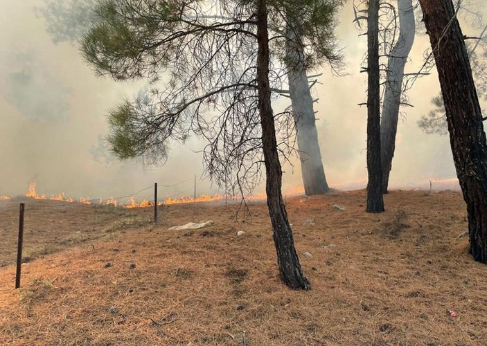 Antalya'da orman yangını (1) -4