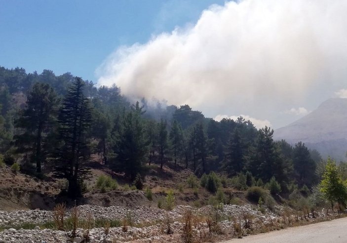 Antalya'da orman yangını (1) -1