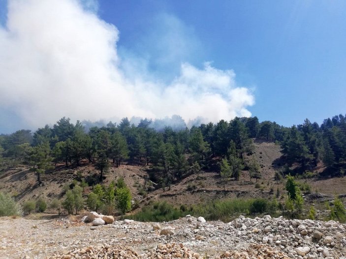 Antalya'da orman yangını (1) -2