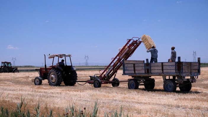 Türkiye'nin tahıl ambarında bu yıl hasat 2,2 milyon ton oldu -5