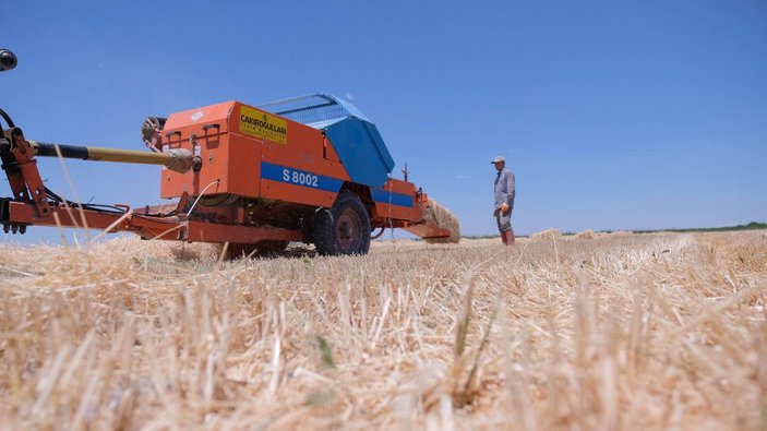 Türkiye'nin tahıl ambarında bu yıl hasat 2,2 milyon ton oldu -3