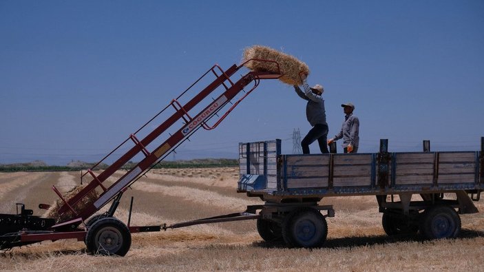 Türkiye'nin tahıl ambarında bu yıl hasat 2,2 milyon ton oldu -2