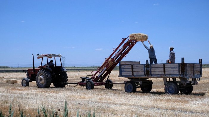 Türkiye'nin tahıl ambarında bu yıl hasat 2,2 milyon ton oldu -6