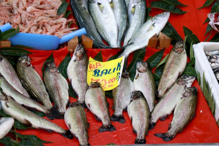 Edirne'de az sayıda balığın geldiği tezgahlardaki fiyatlar yüksek bulundu -4