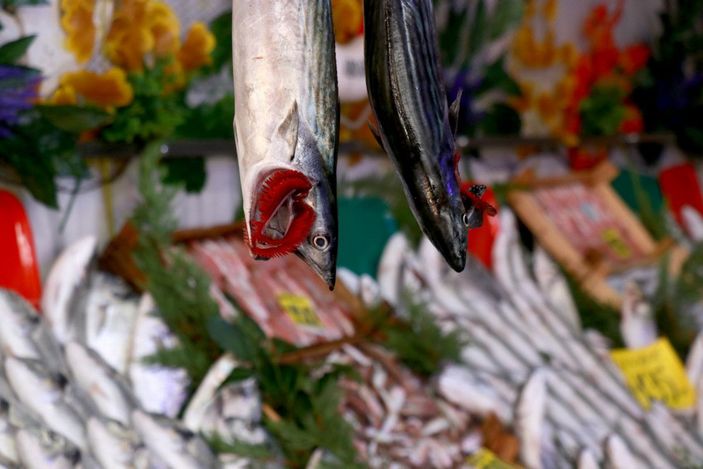 Edirne'de az sayıda balığın geldiği tezgahlardaki fiyatlar yüksek bulundu -9