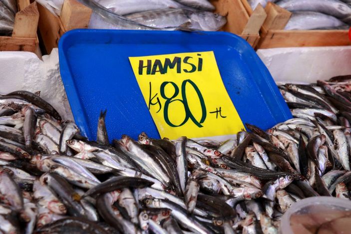 Edirne'de az sayıda balığın geldiği tezgahlardaki fiyatlar yüksek bulundu -10