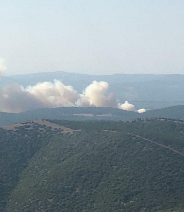 Soma'daki 16 saatlik orman yangınında 60 hektar alan zarar gördü -8